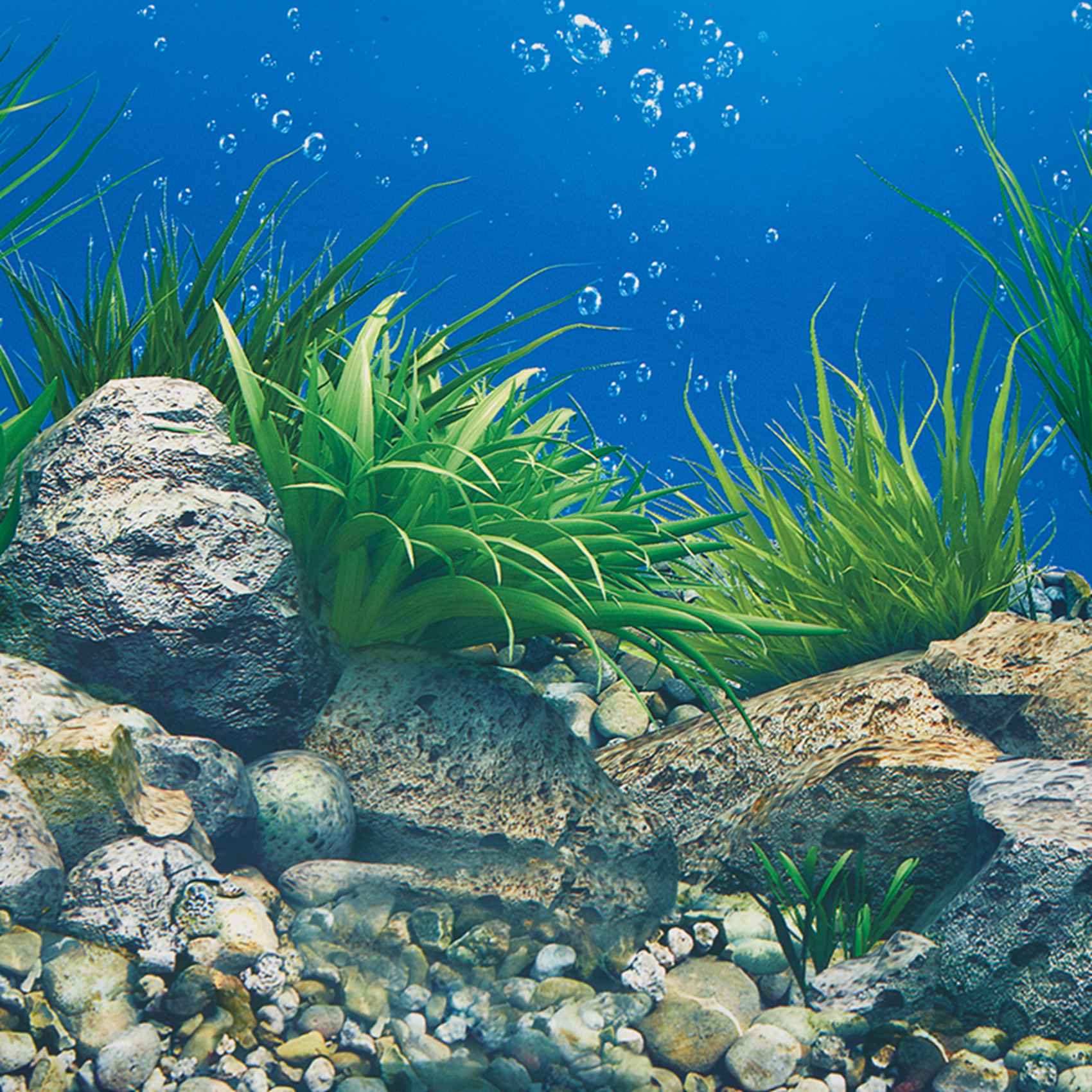 Aquarium Fish Wallpaper Hd - AB33-Aquarium fond papier HD image 7D