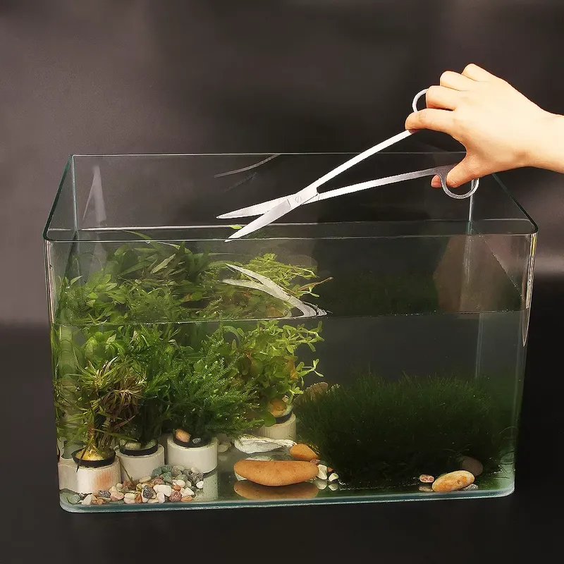 Aquarium Fish Popular - Kit d'outils d'aquarium populaire, accessoires pour