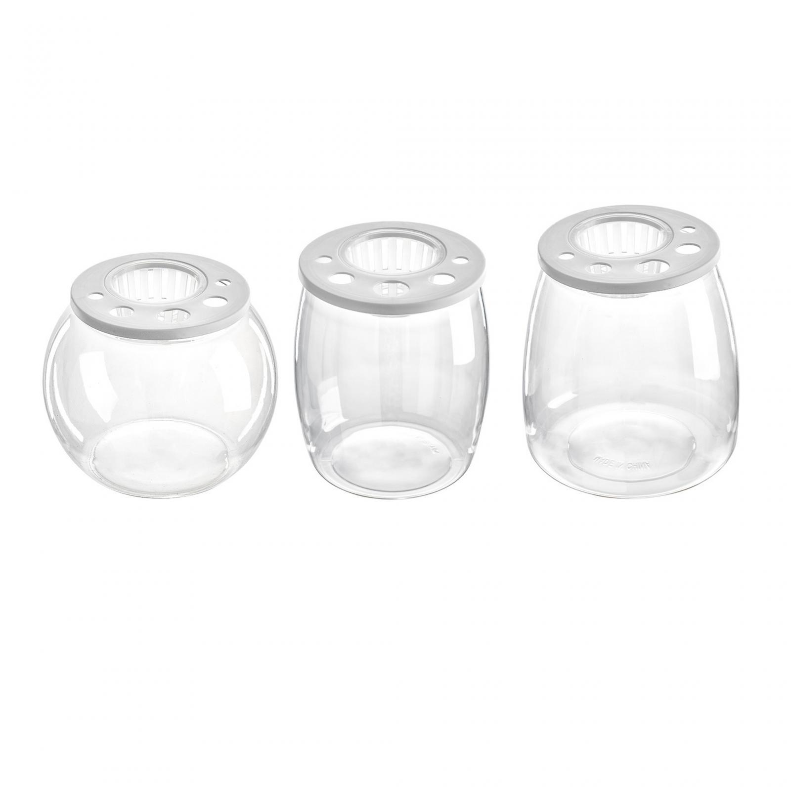 Draw Fish Aquarium - Aquarium de bureau transparent polyvalent, micro-paysage