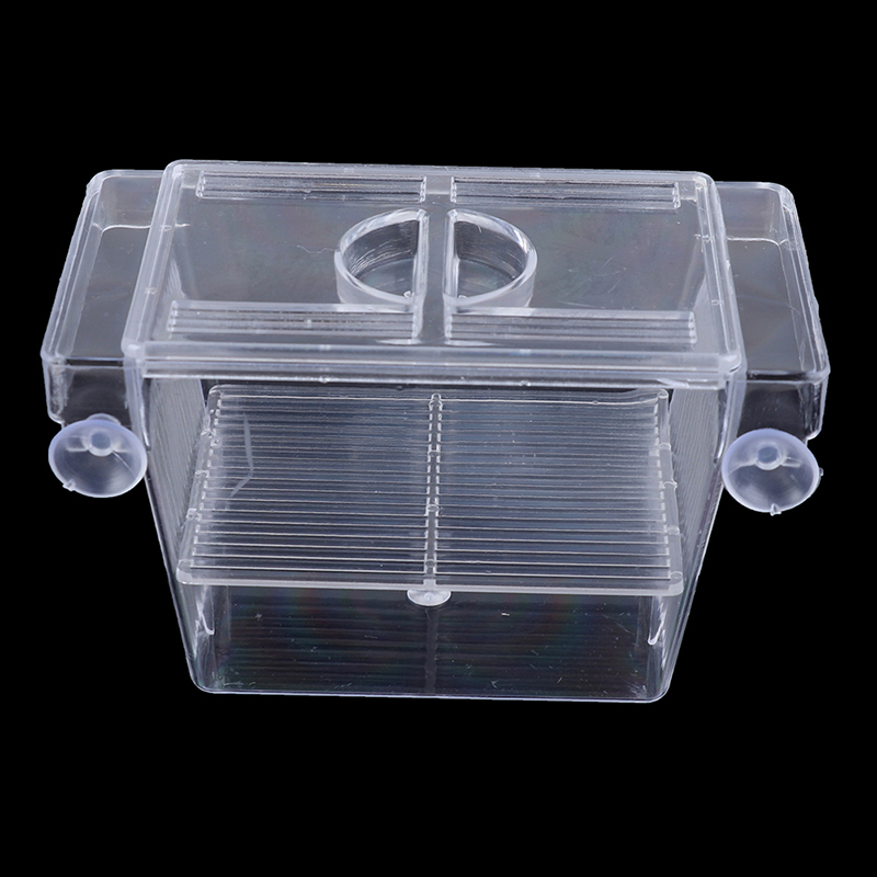 Aquarium Fish Trap - Guppy-Boîte de piège à poissons précieux