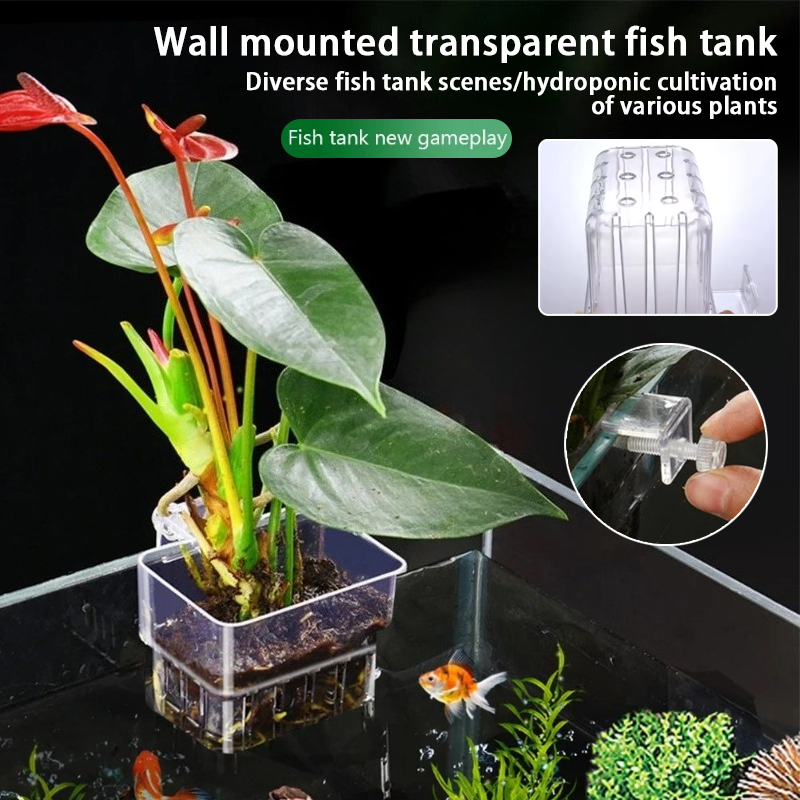 Aquarium Fish Background - Pots suspendus pour aquarium, supports muraux