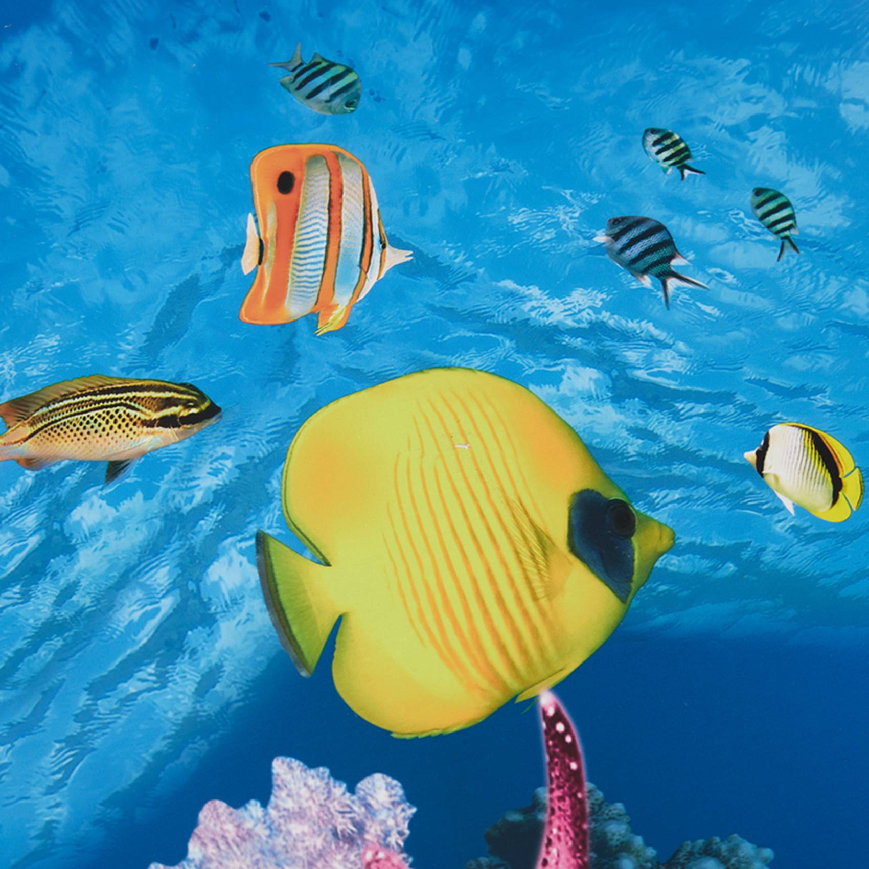 Aquarium Fish Wallpaper Hd - BAAU Aquarium fond papier HD image