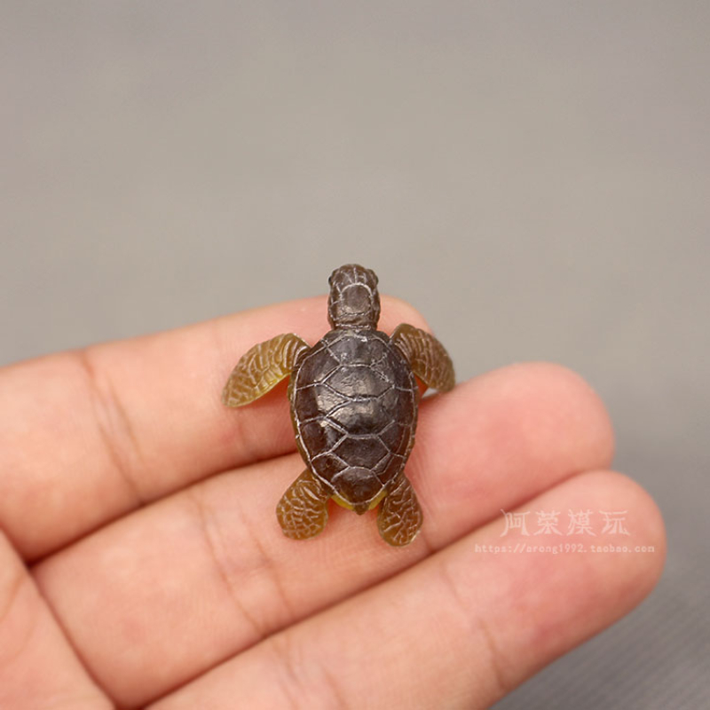 Aquarium Fish Japan - Modèle de tortue de mer de