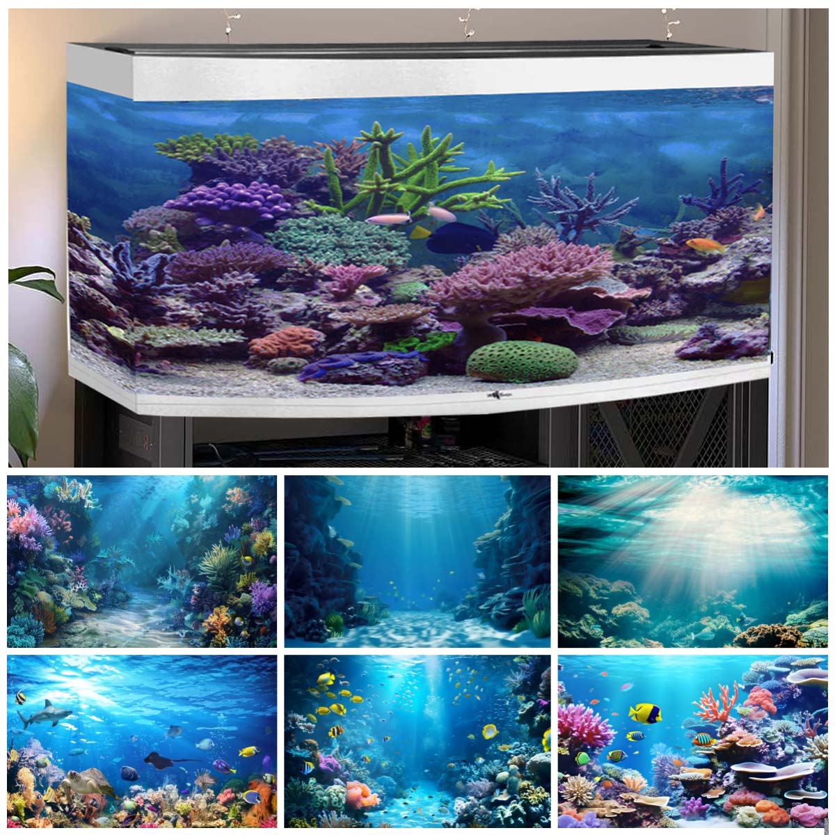 Aquarium Fish Of The World - Arrière-plan du monde sous-marin pour photographies,