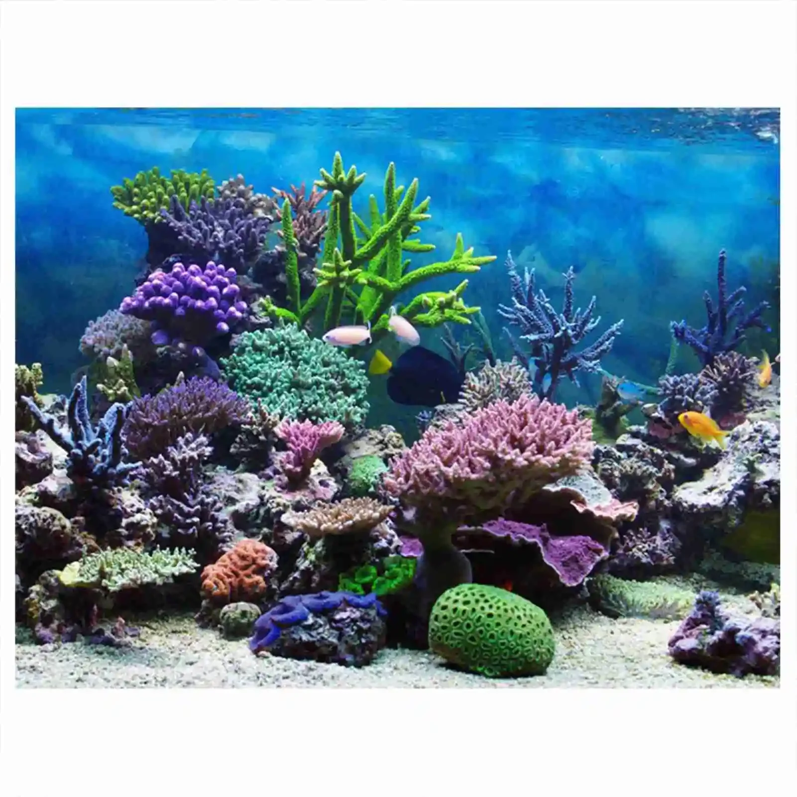 Aquarium Fish Background - Affiche de paysage d'aquarium 3D, papier