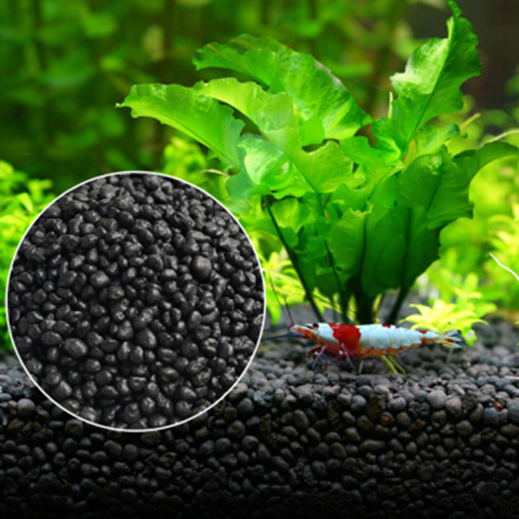 Aquarium Fish Background - Sol de graines de plantes d'aquarium,