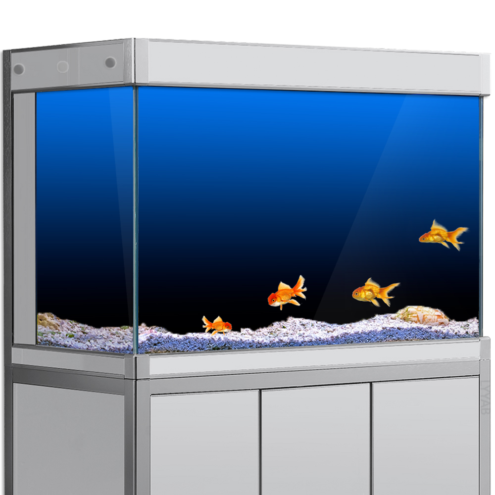 Aquarium Fish Background - Autocollant de fond d'aquarium en PVC,