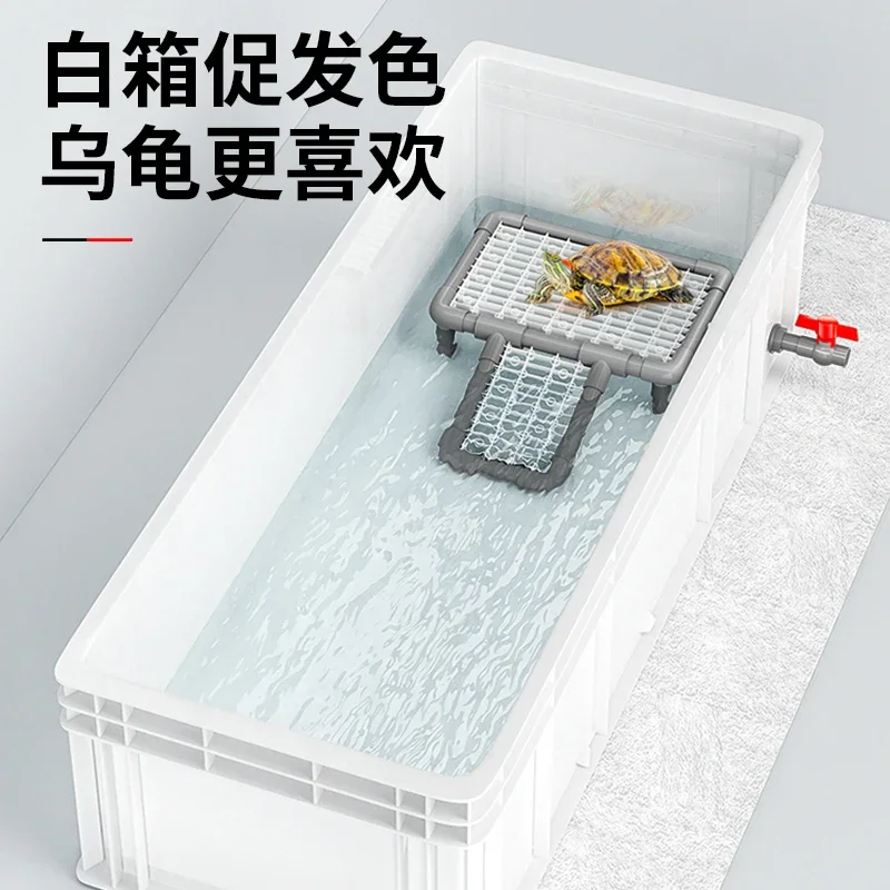 Fish Co Aquarium - Grand aquarium professionnel pour tortues, avec