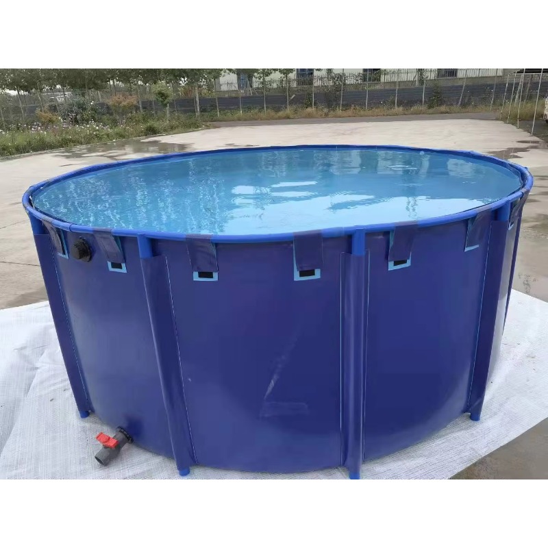 Aquarium Fish Popular - Vente en gros de bassins et