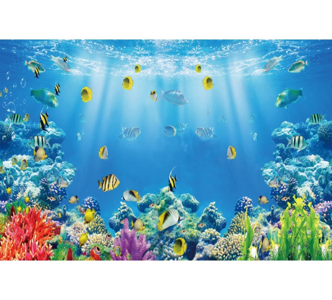 Toile de fond photographique s - Aquarium Fish Of The World avis et prix