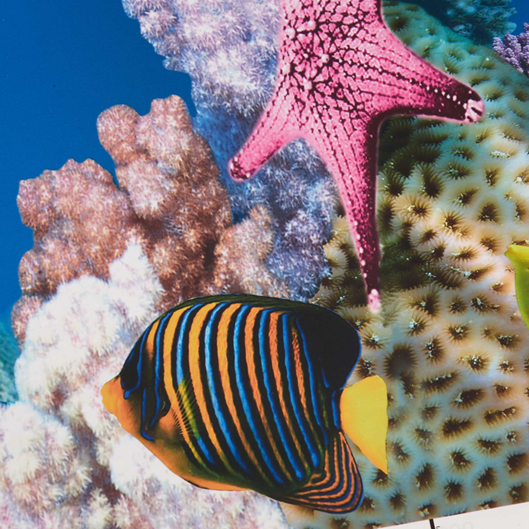 Papier de fond pour aquarium A - Aquarium Fish Wallpaper Hd avis et prix