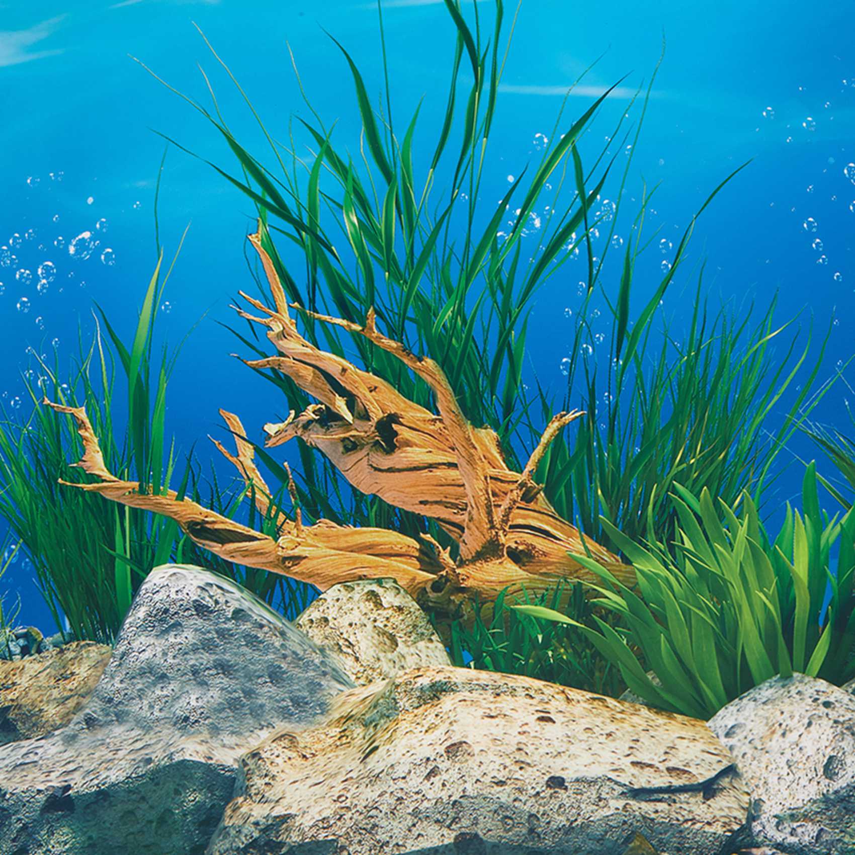 Papier de fond pour aquarium A - Aquarium Fish Wallpaper Hd avis et prix