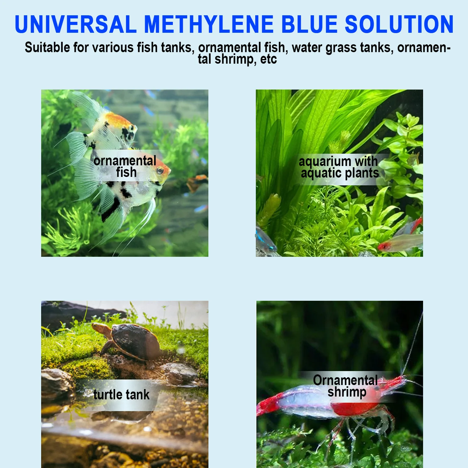 Traitement pour poissons d'aqu - Aquarium Fish Medicine avis et prix