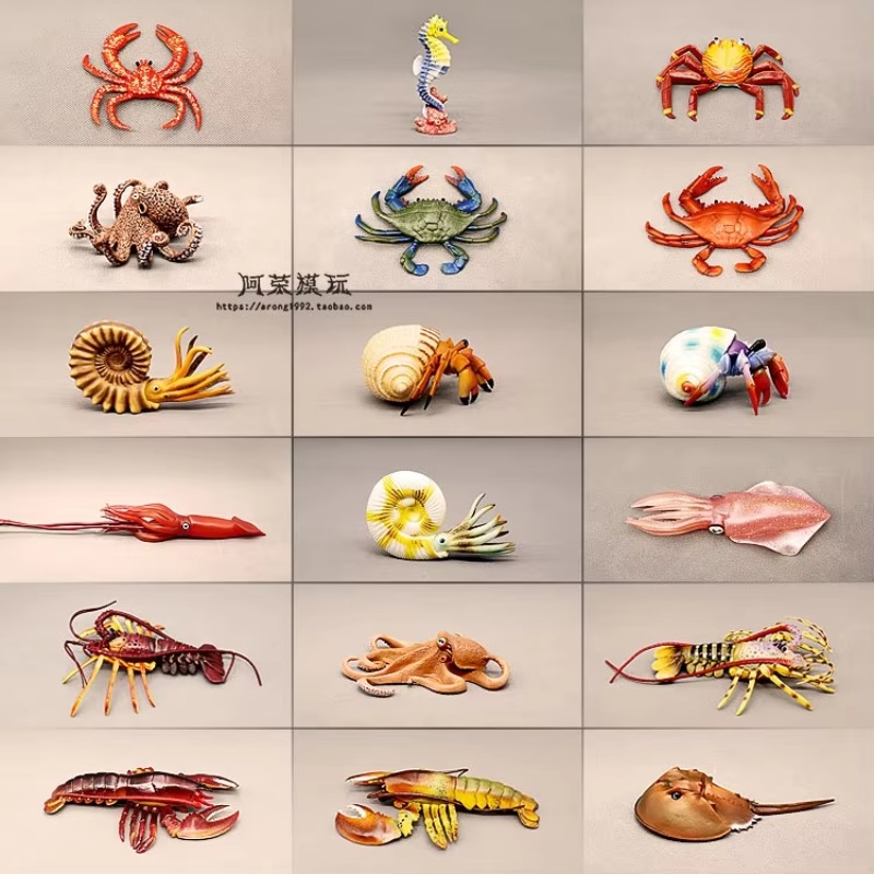 Modèle de mini poissons du mon - Aquarium Fish Of The World avis et prix
