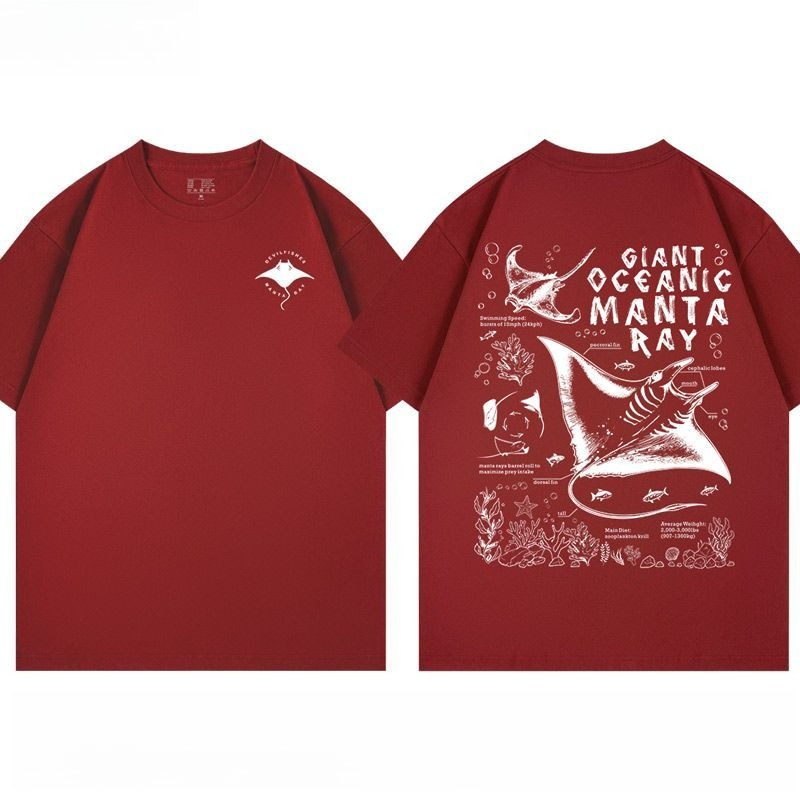 2026 nouveau Manta Ray diable  - Aquarium Fish Popular avis et prix