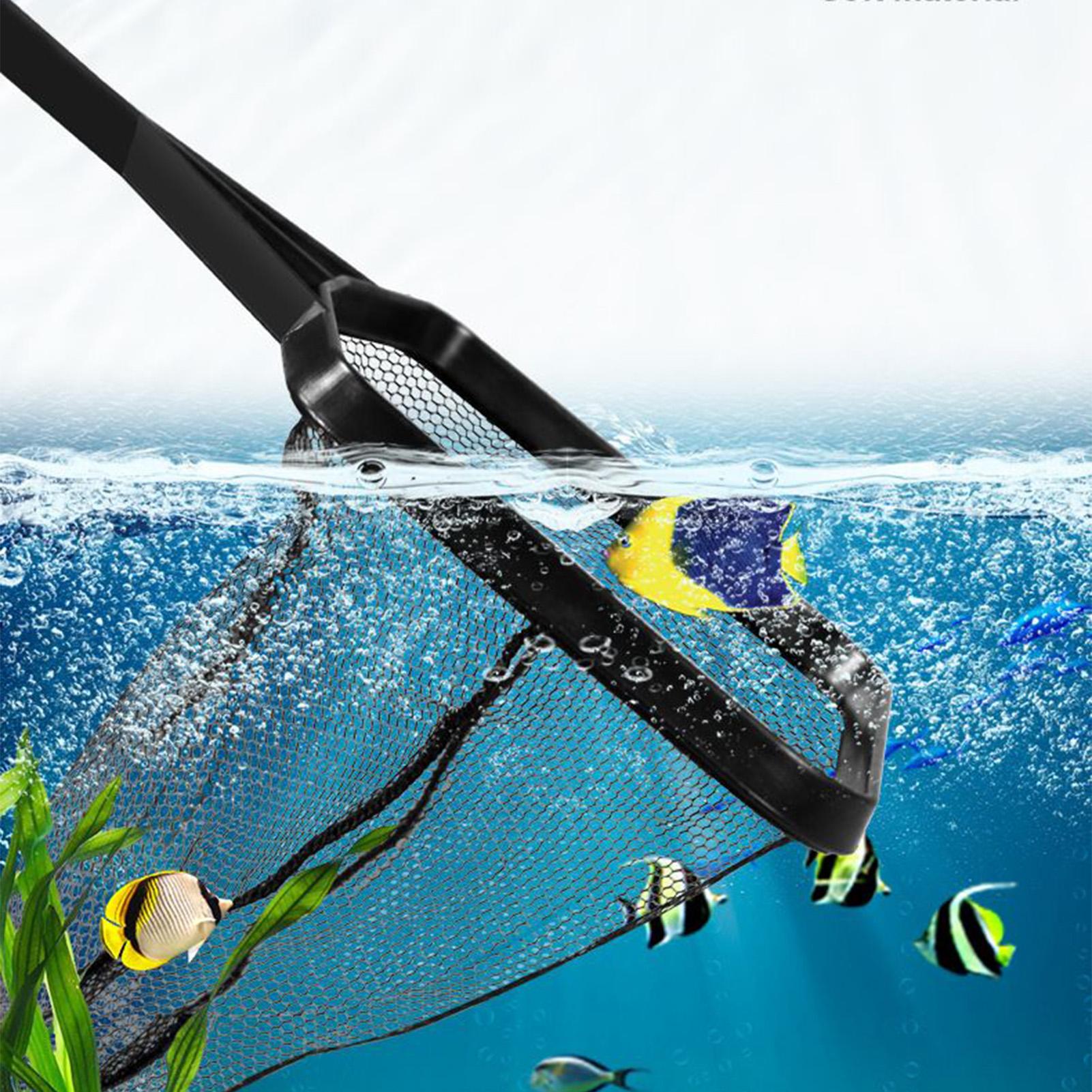 Filet de récupération pour Aqu - Aquarium Fish Trap avis et prix