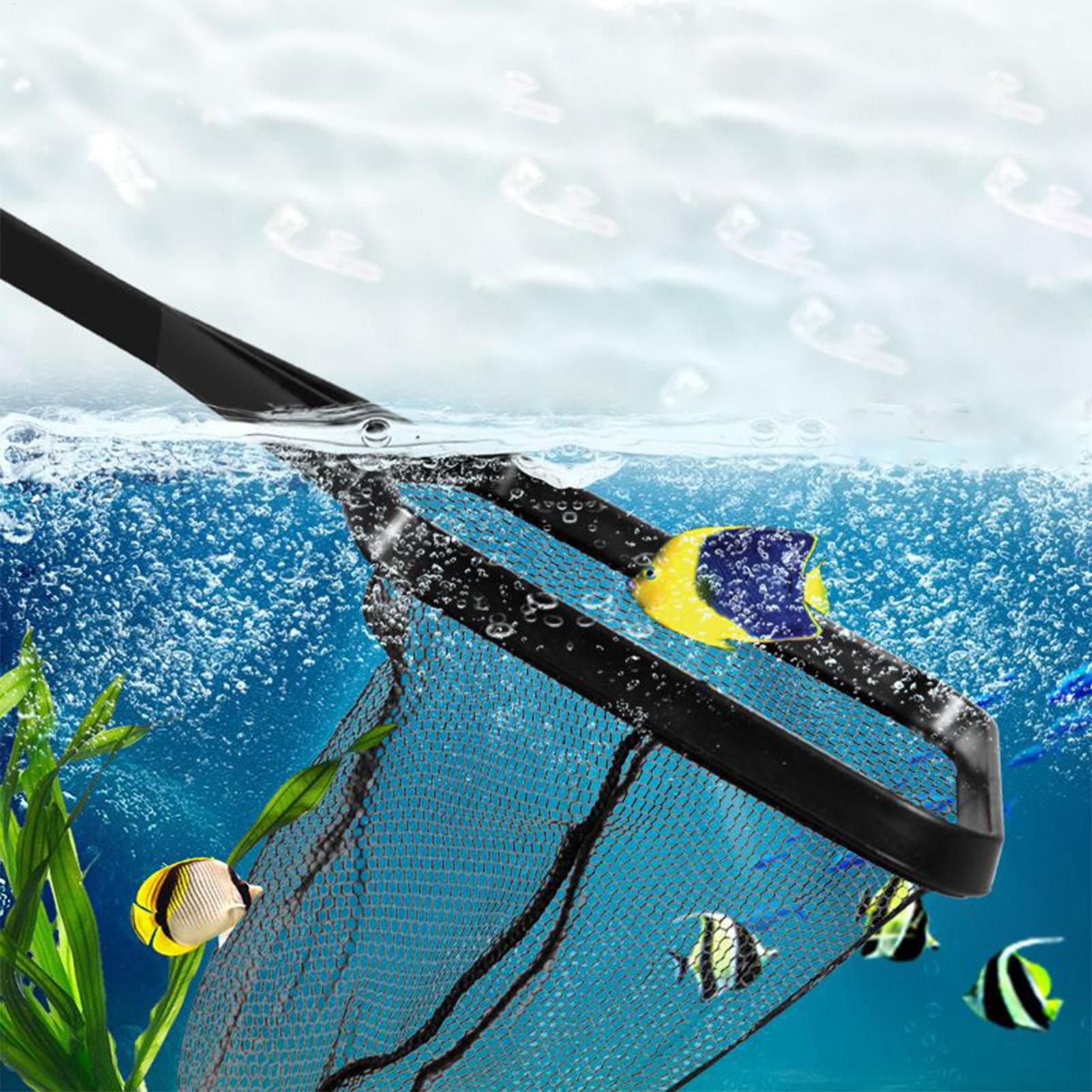 Filet de récupération pour Aqu - Aquarium Fish Trap avis et prix