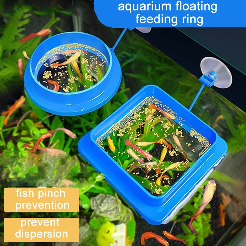 Anneau flottant d'alimentation - Aquarium Fish Medicine avis et prix
