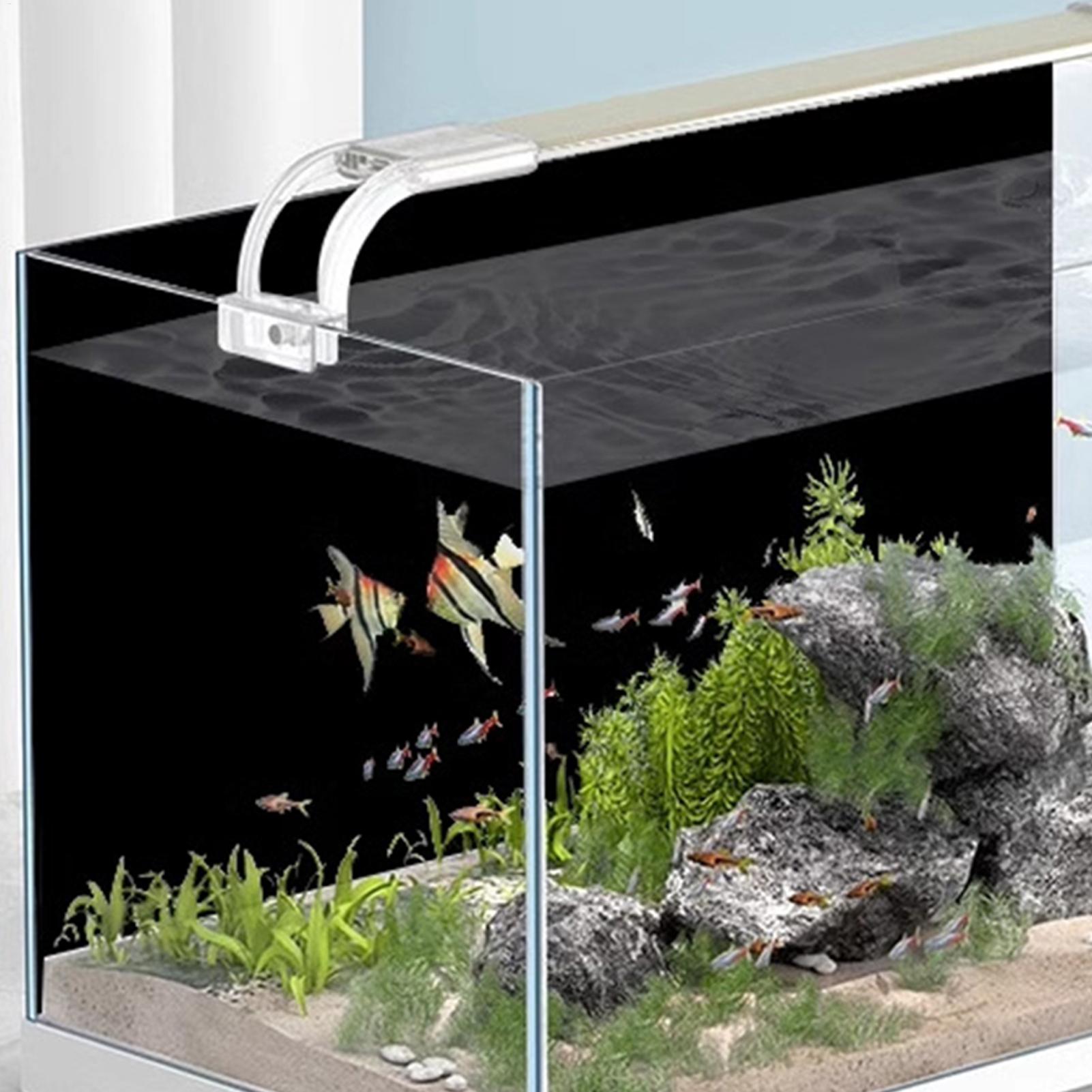 Fond d'aquarium noir en PVC st - Aquarium Fish Background avis et prix