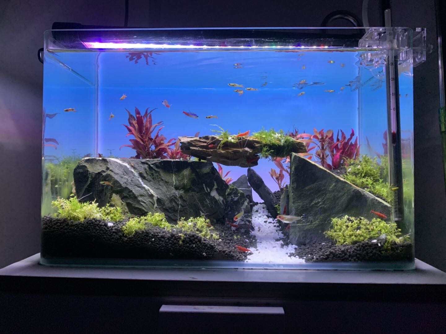 Lumière d'aquarium à changemen - Aquarium Fish Background avis et prix