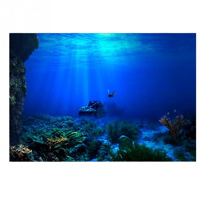 Peinture décorative de fond de - Aquarium Fish Of The World avis et prix