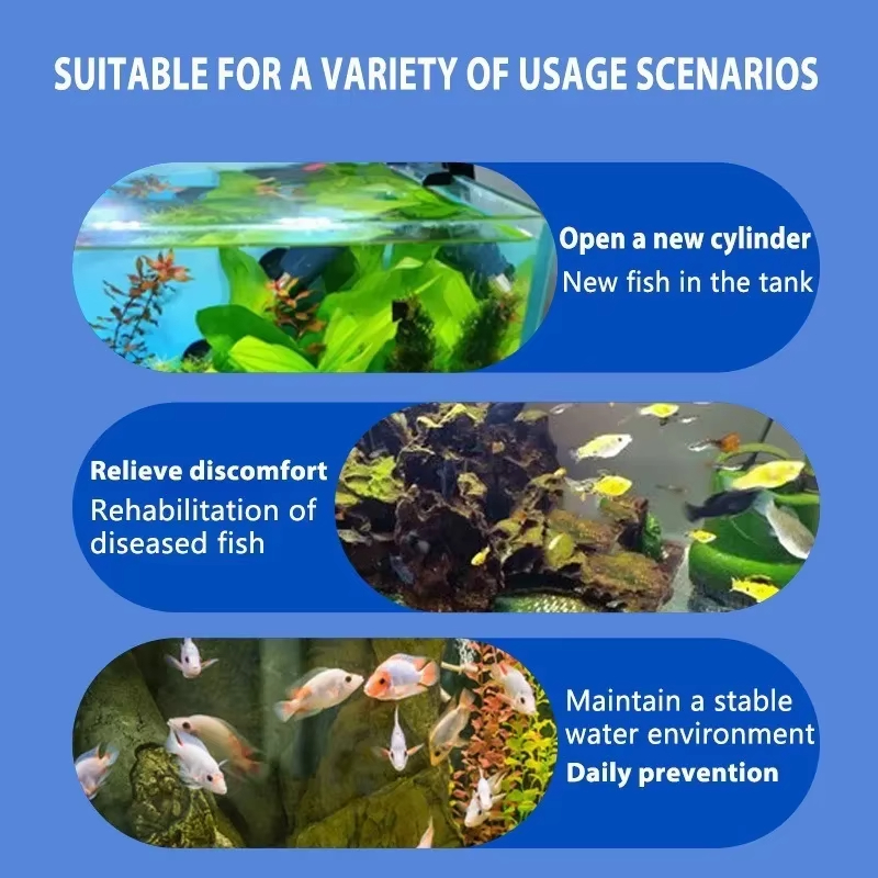 SIKEZHAN Traitement des maladi - Aquarium Fish Medicine avis et prix