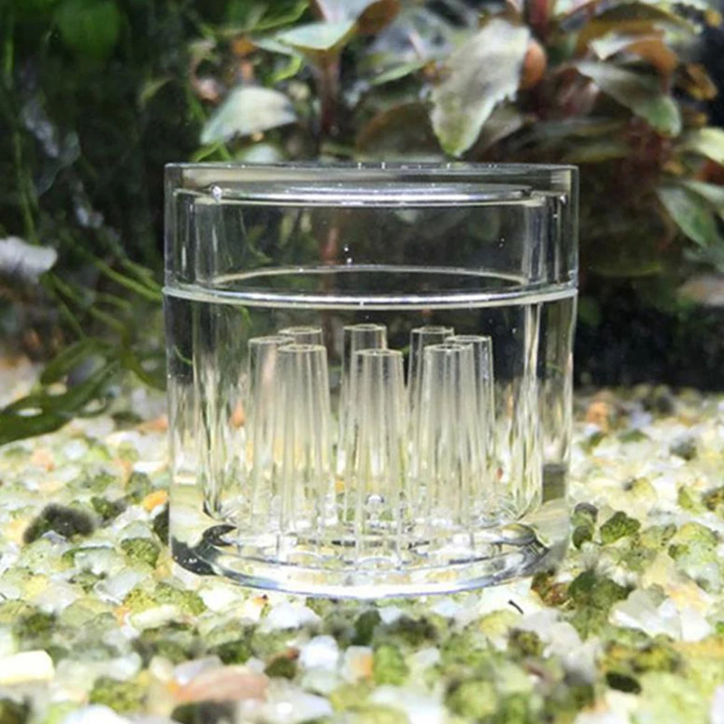 Piège à escargots transparent  - Aquarium Fish Trap avis et prix
