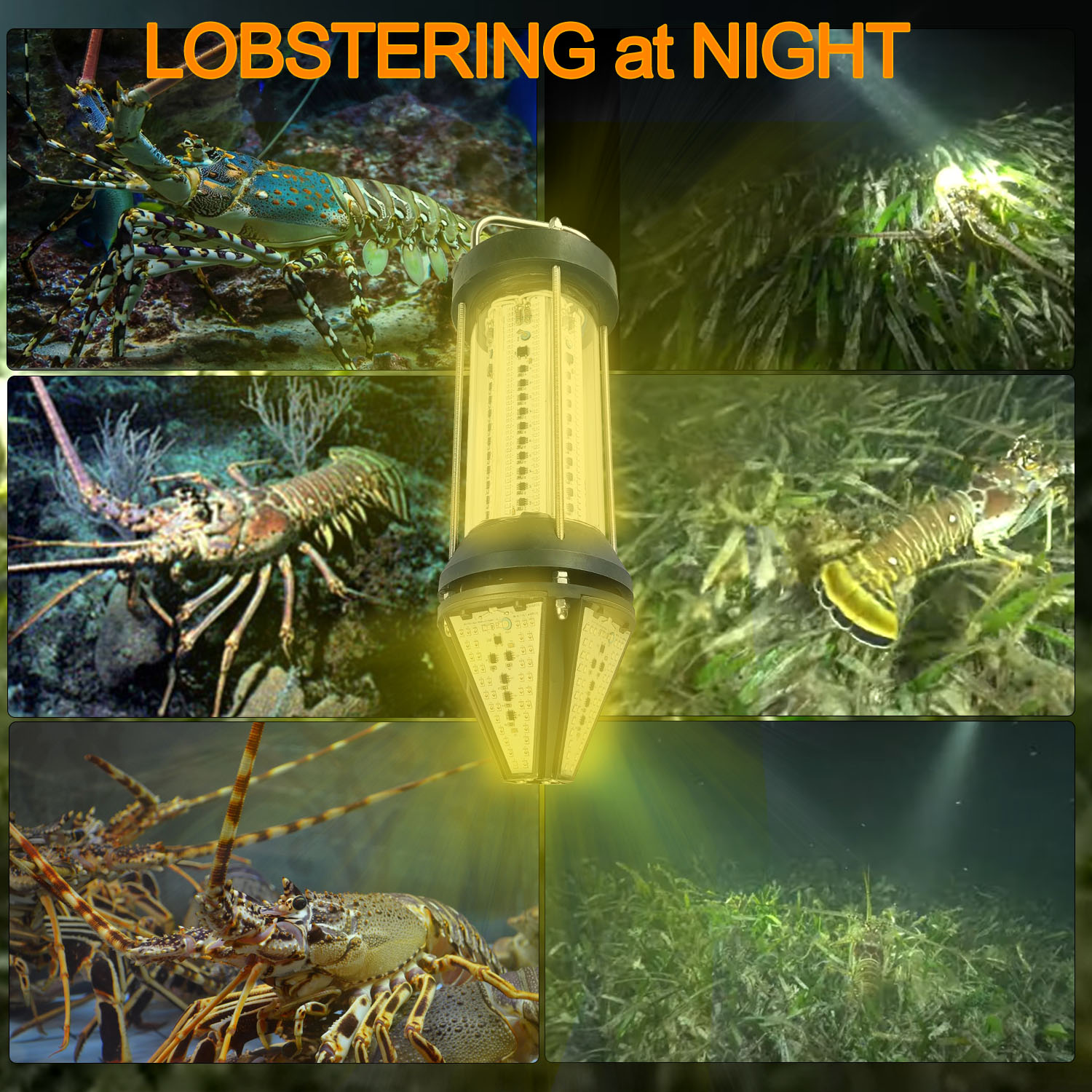 Lampe de pêche sous-marine ver - Aquarium Fish Green avis et prix