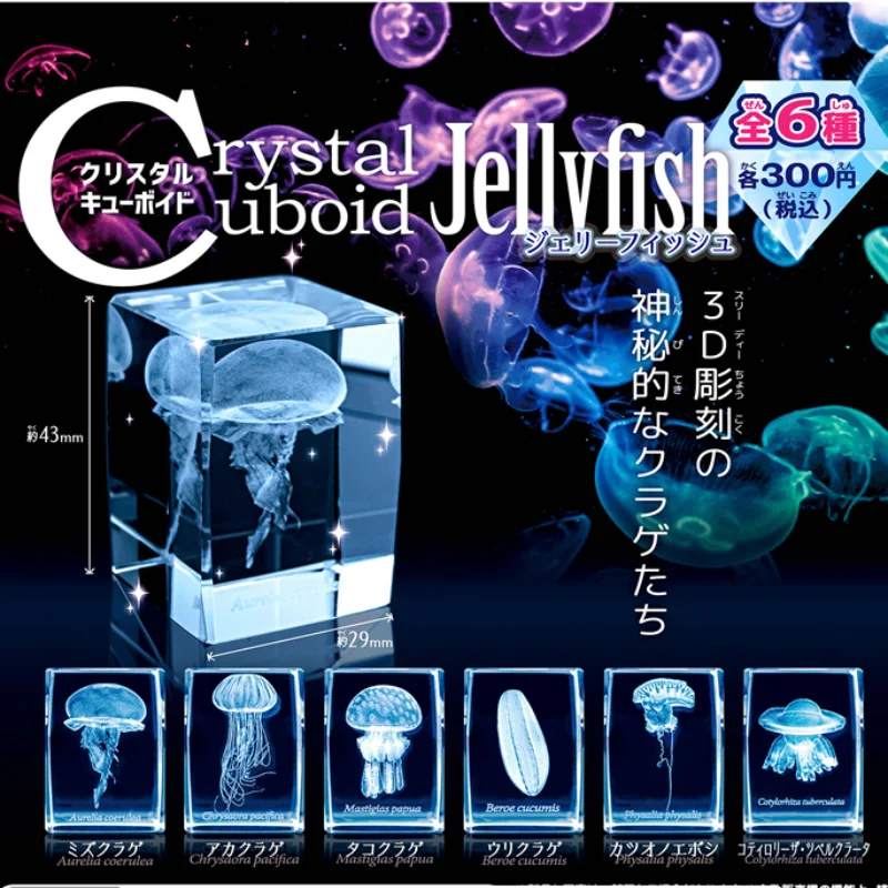 Gashapon Méduse 3D Clip Cuboïd - Aquarium Fish Japan avis et prix