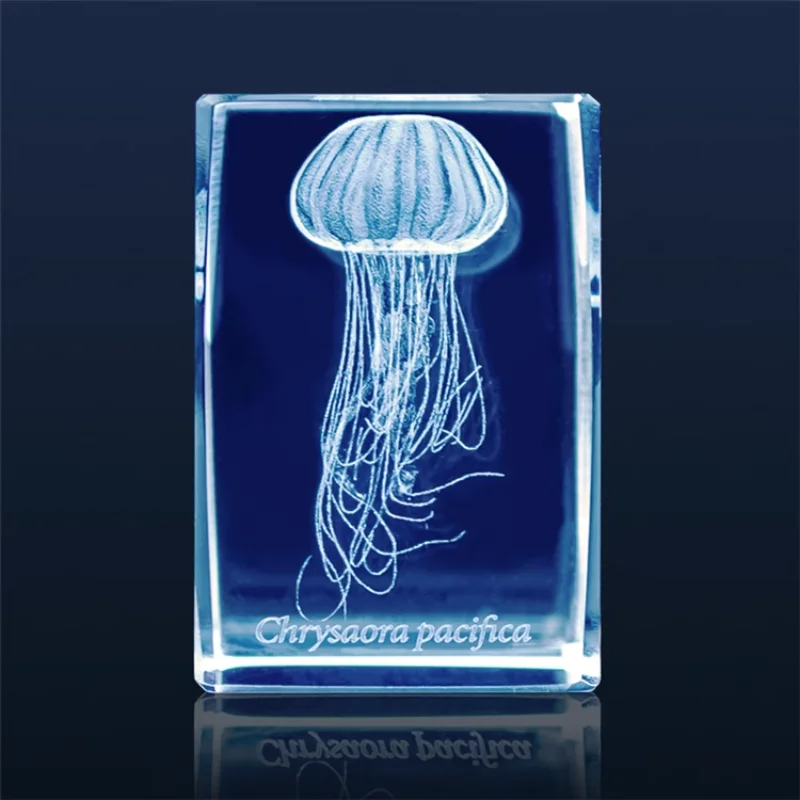 Gashapon Méduse 3D Clip Cuboïd - Aquarium Fish Japan avis et prix