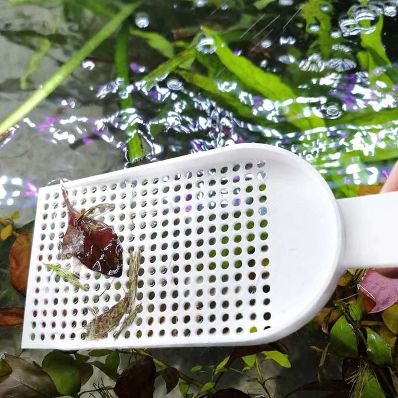 Épuisette à débris pour aquari - Aquarium Fish Trap avis et prix
