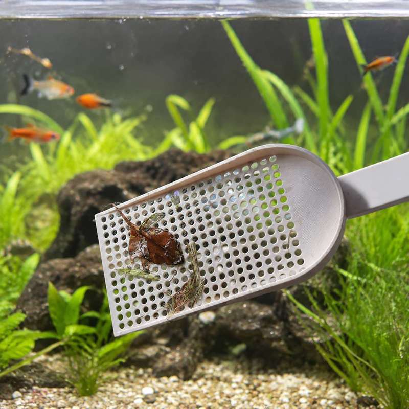 Épuisette à débris pour aquari - Aquarium Fish Trap avis et prix