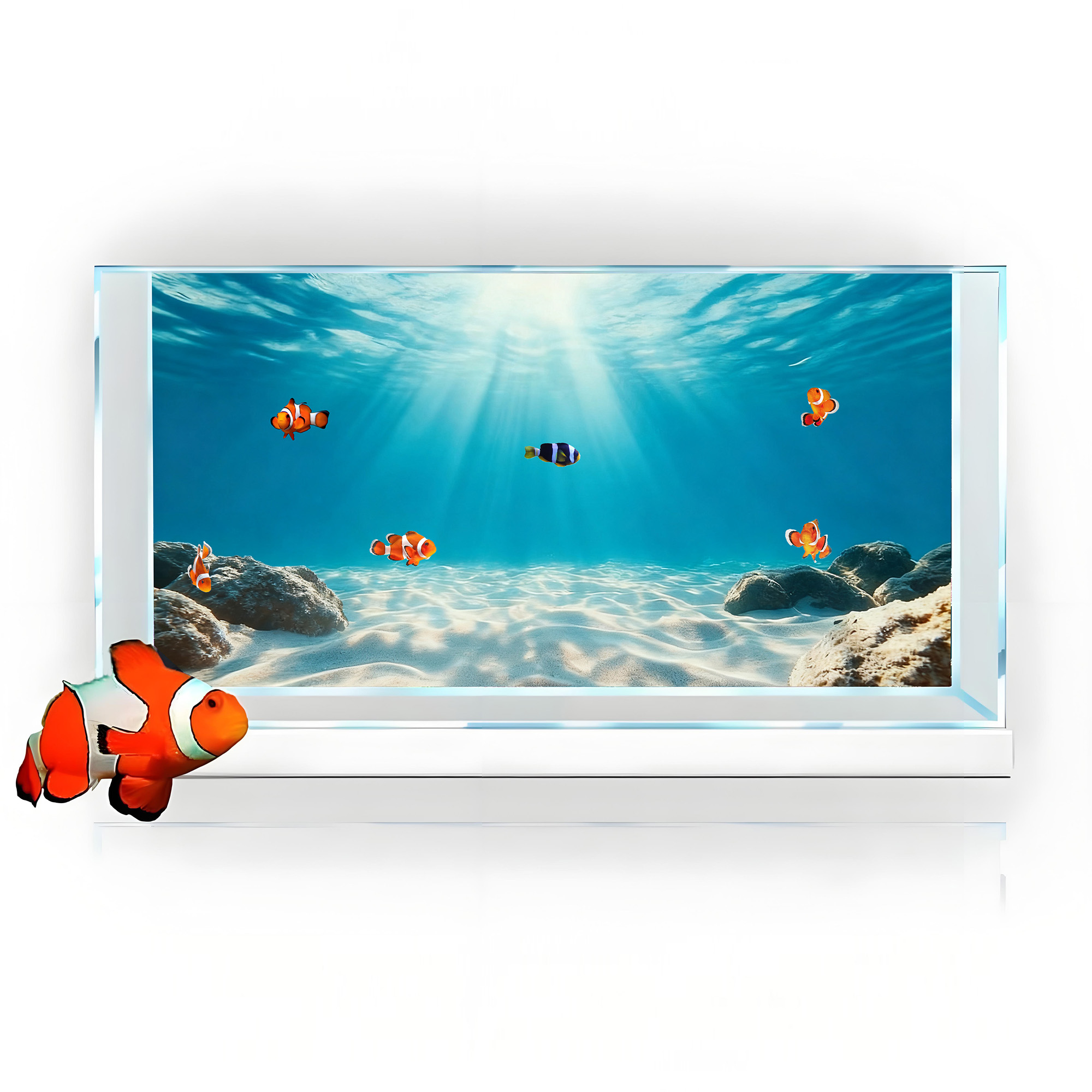 Sable bleu transparent, peintu - Aquarium Fish Background avis et prix