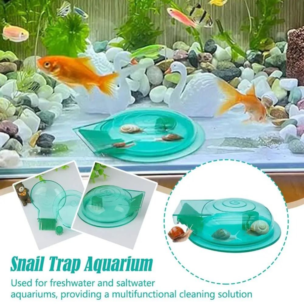 Piège à escargots pour aquariu - Aquarium Fish Trap avis et prix