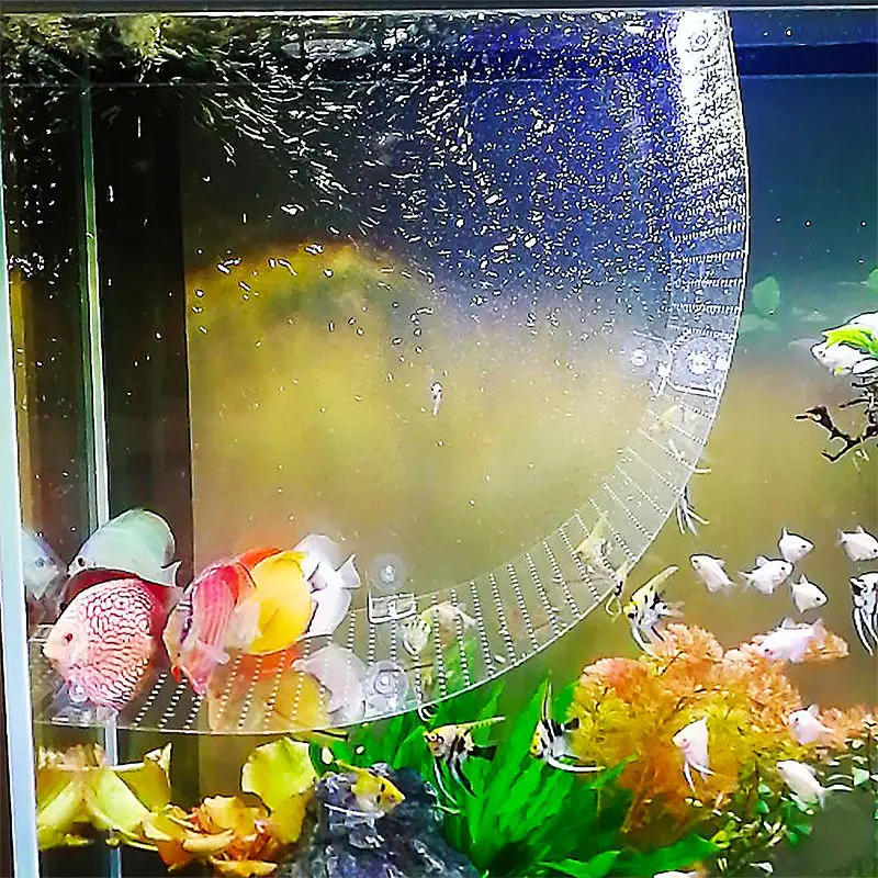 Plaque d'isolation pliable pou - Aquarium Fish Background avis et prix
