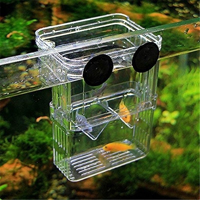 Boîte d'isolation multifonctio - Aquarium Fish Background avis et prix