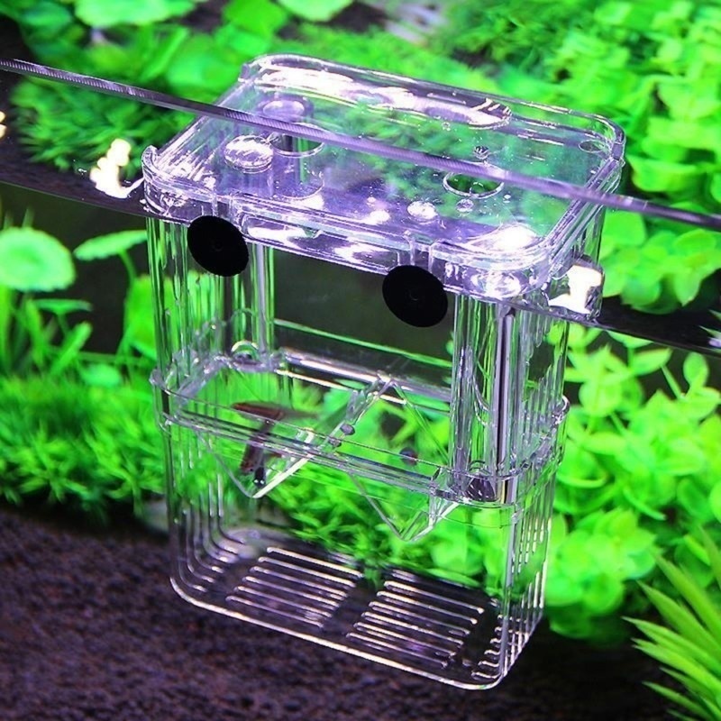 Boîte d'isolation multifonctio - Aquarium Fish Background avis et prix
