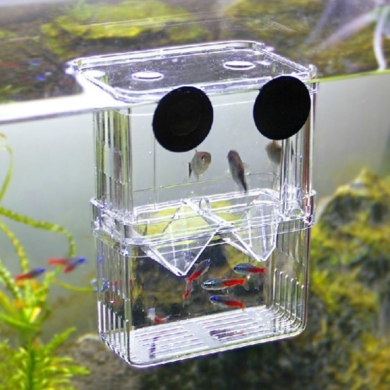 Boîte d'isolation multifonctio - Aquarium Fish Background avis et prix