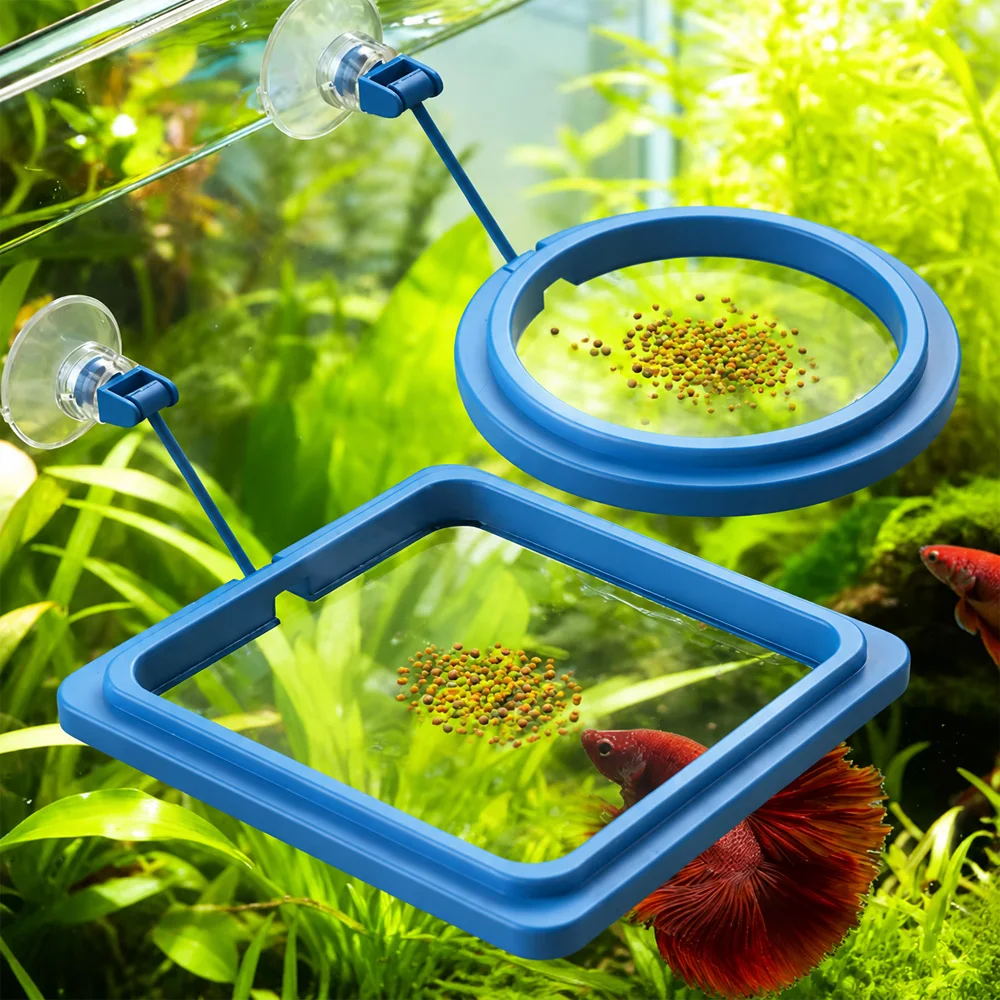 Nourriture pour poissons Betta - Aquarium Fish Medicine avis et prix