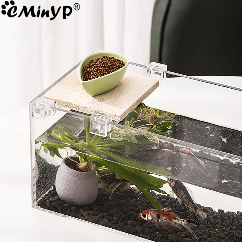 Clips acryliques pour Aquarium - Aquarium Fish Background avis et prix