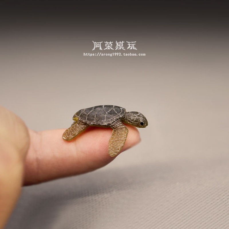 Modèle de tortue de mer de la  - Aquarium Fish Japan avis et prix
