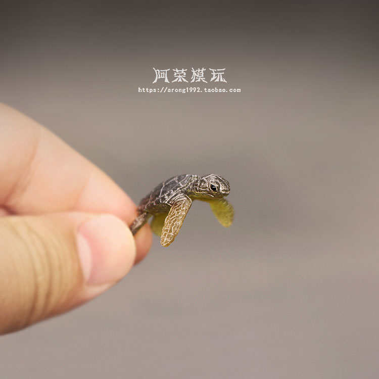 Modèle de tortue de mer de la  - Aquarium Fish Japan avis et prix