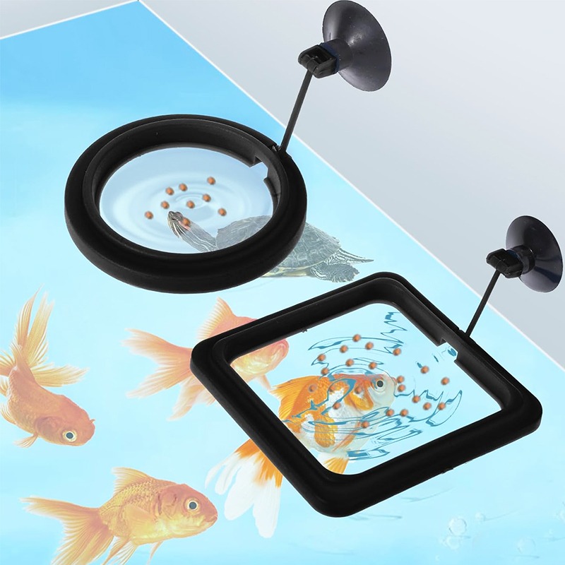 Station d'alimentation pour aq - Aquarium Fish Medicine avis et prix