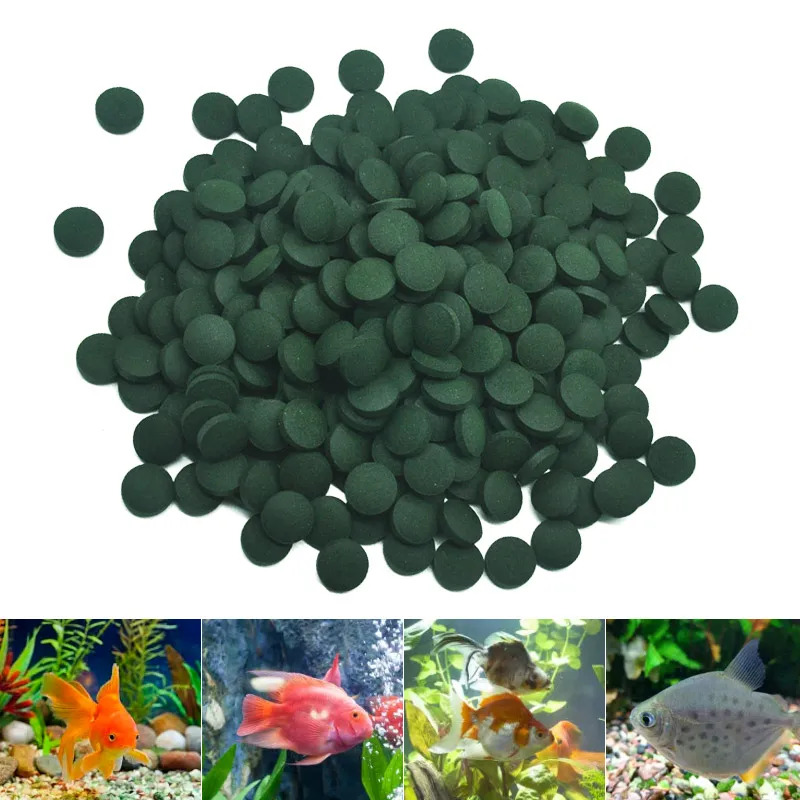 50-300 pièces comprimés de spi - Aquarium Fish Medicine avis et prix