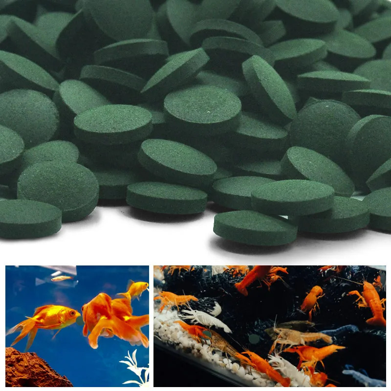 50-300 pièces comprimés de spi - Aquarium Fish Medicine avis et prix