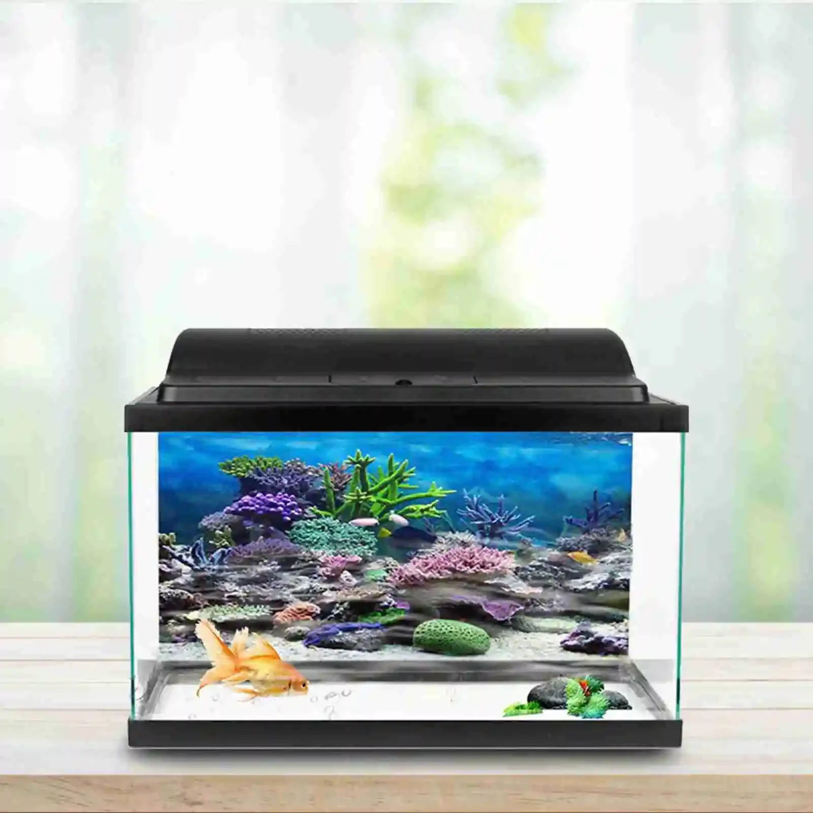 Affiche de paysage d'aquarium  - Aquarium Fish Background avis et prix