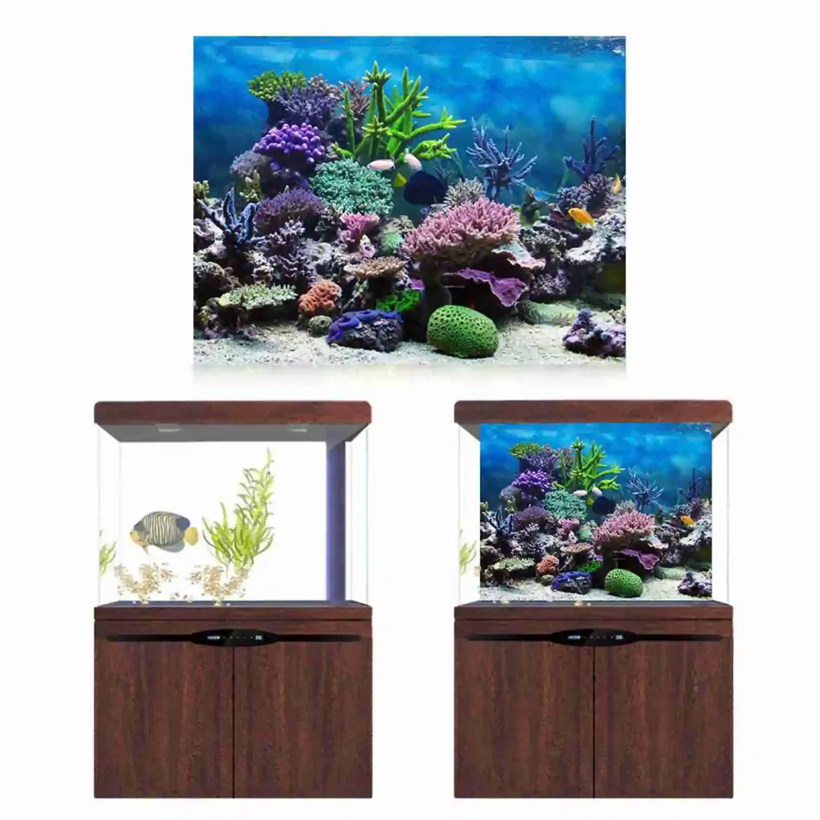 Affiche de paysage d'aquarium  - Aquarium Fish Background avis et prix