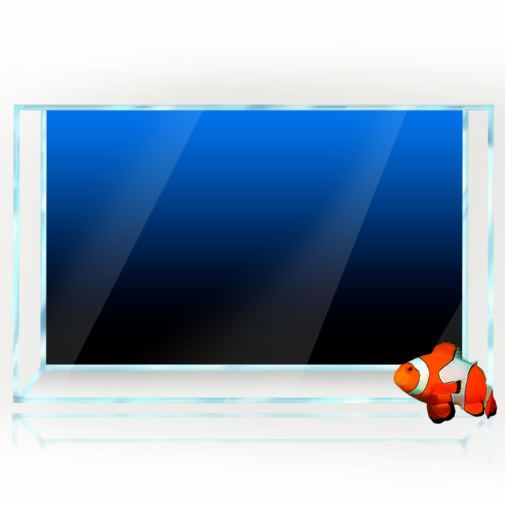Autocollant de fond d'aquarium - Aquarium Fish Background avis et prix