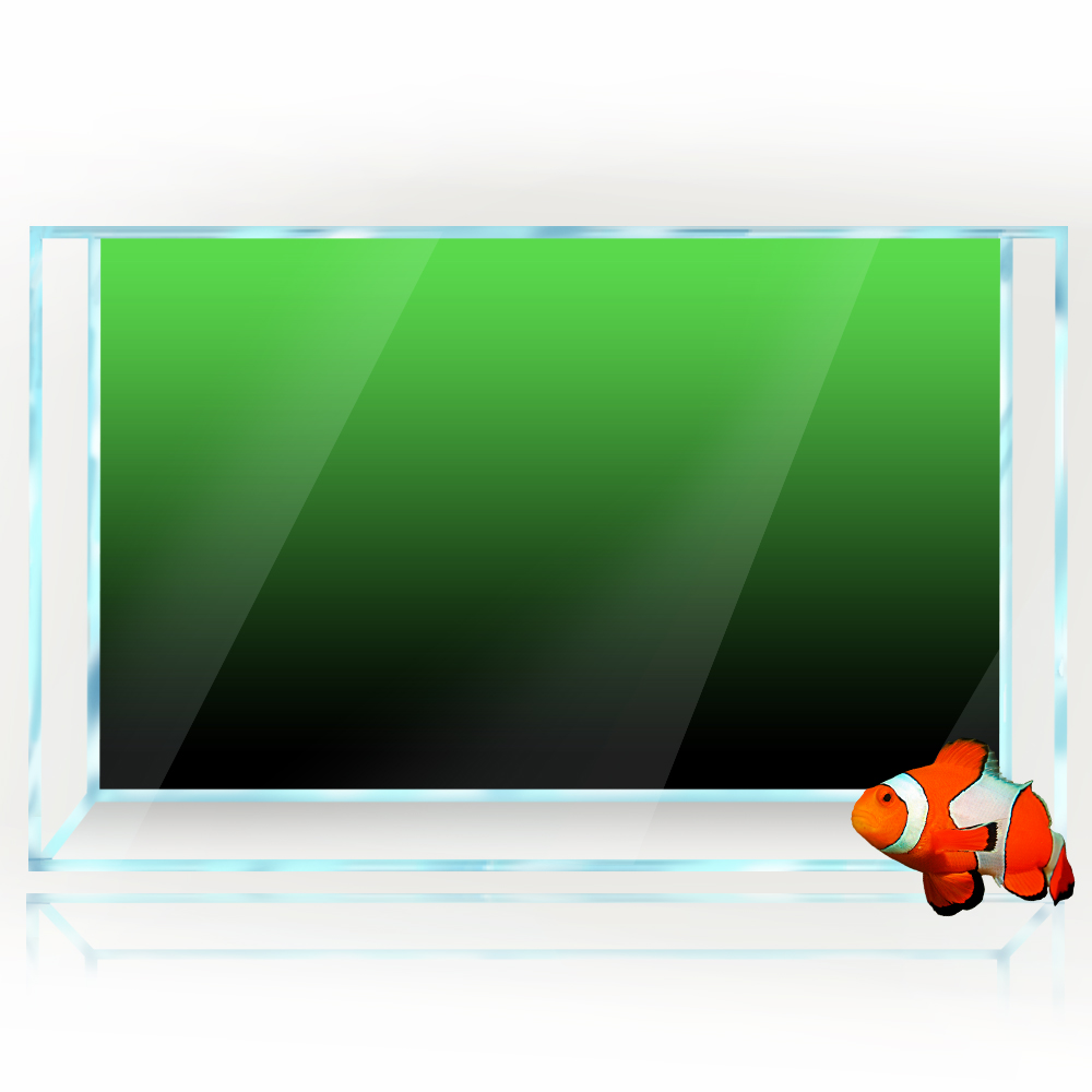 Autocollant de fond d'aquarium - Aquarium Fish Background avis et prix