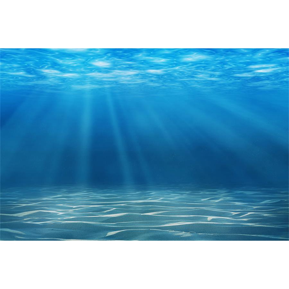 Monde sous-marin fond de mer p - Aquarium Fish Of The World avis et prix